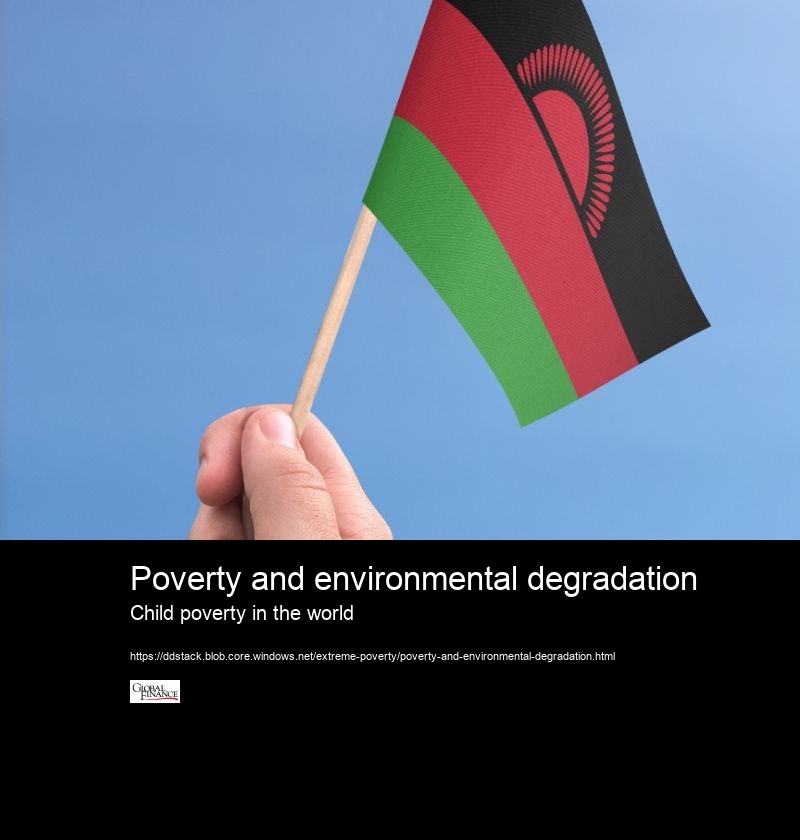 Poverty and environmental degradation